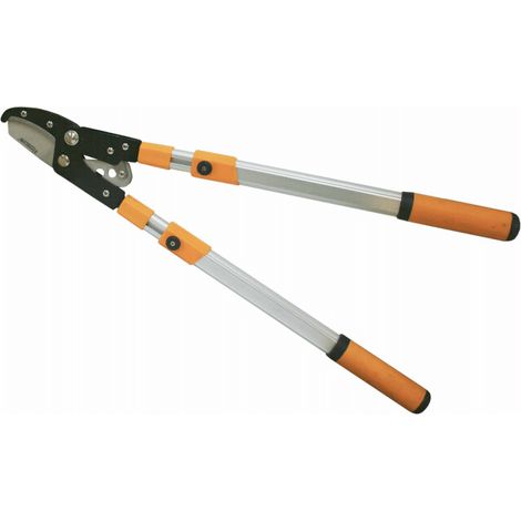 FORBICE TRONCARAMI TELESCOPICA ALLUNGABILE CRICCHETTO FORBICI POTARE POTA 719HO