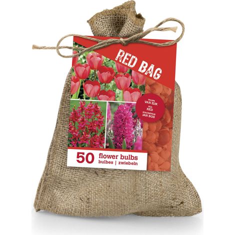 Bloomique - Mix de 50 - Le Sac Rouge - Mix Rouge - Tulipes, Jacinthes, Ixia - Bulbes à fleurs - Floraison printanière - Plantes vivaces (1/2)