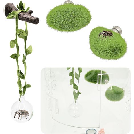Kit d'Accessoires pour Terrarium d'Araignée Sauteuse – Cachette Boule en Verre, Branche Artificielle Aimantée et 2 Plateformes Vertes – Décoration d'Habitat pour Pholques (1/5)