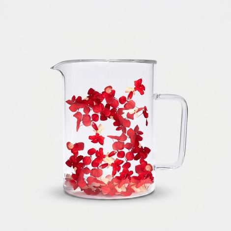 Brocca in vetro decorativa 1,1 litri Flovers Petals - Rosso (1/2)