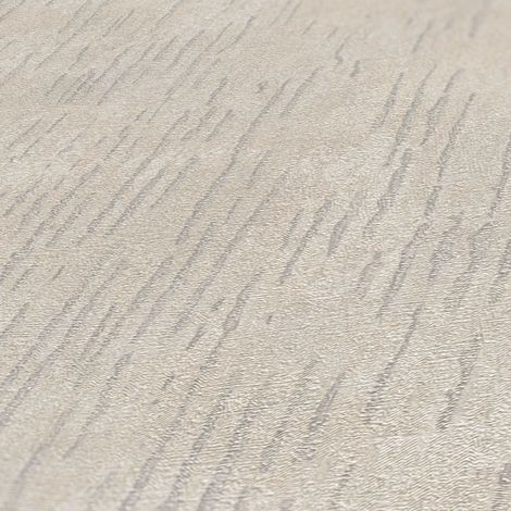 A.S. Creation Titanium 3 381991 Vliestapete Modern 0.53 m x 10.05 m Beige (1/4)