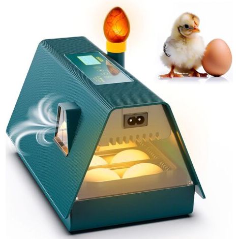 Couveuse Oeuf Automatique - Idéal tous âges Incubateur Oeuf Automatique - Retournement Automatique des Oeufs + Contrôle Humidité - Mire oeuf intégré - 10 œufs - Tout type volailles (1/5)