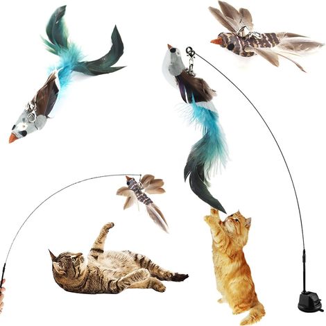 Jouet Chat Interactif Interieur Jouets à Plumes pour Chats Jouet Chat Ventouse avec Cloche Plume Kittybird Jouet Jeux Chat Baguette Canne à Pêche Cadeau Jeu pour Chat D'appartement (1/5)