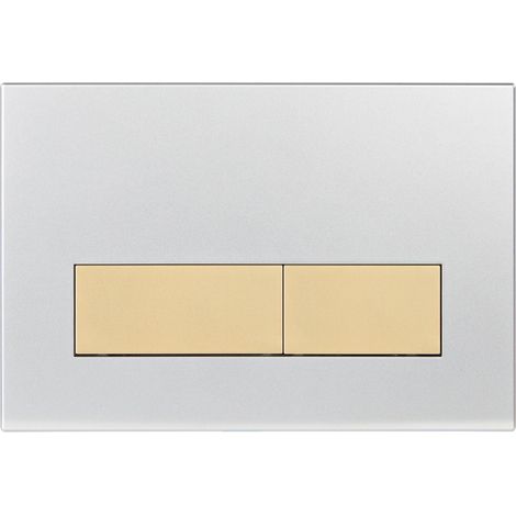 Plaque de Commande WC, Compatible avec Sigma, UP300 et UP320, avec Double Chasse, Équipée d'un Set de Leviers de Chasse et d'un Cadre d'Installation. Argent Mat (1/5)