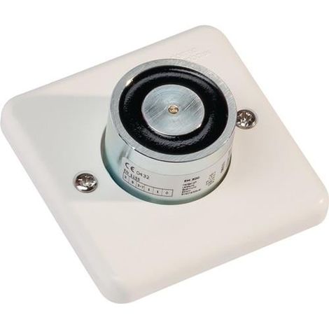 Electoaimant 500 G 24 Volts AC/DC p. Séquenceur de fermeture blanc (1/2)