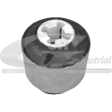 3RG 50295 SILENTBLOC TRASERO