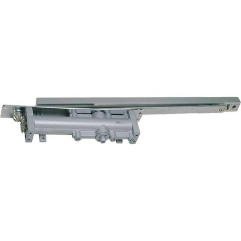Chiudiporta DC550 Force 2-4 MERONI Guida - Argento - DADC55024HSNA