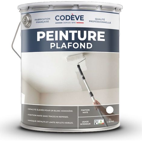 Codève Bois – Peinture plafond 5 L – Blanc pur RAL 9010 – Finition mate pour intérieur – Excellente opacité et accrochage