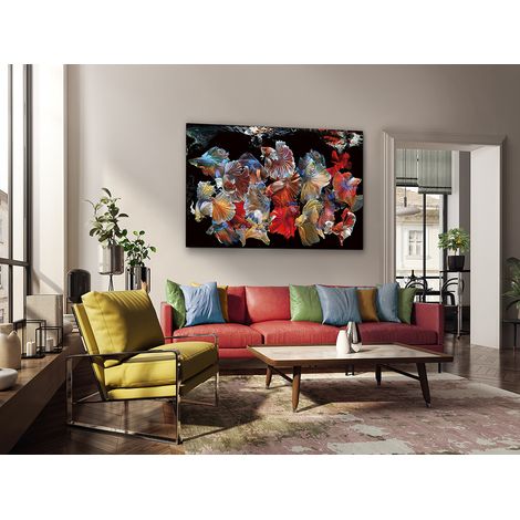 FOTO PECES SIAM 150x100 (1/3)