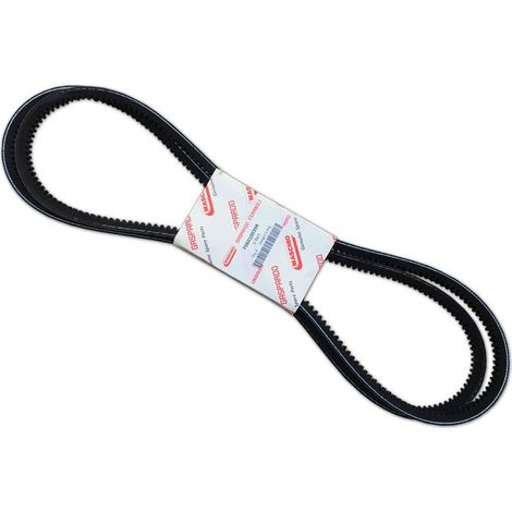 Ricambio Cinghia SPB 1320 Per Maschio Gaspardo (1/3)