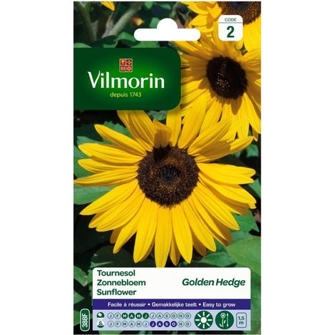 Sachet graines Tournesol Soleil Golden Hedge
