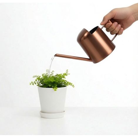 Arrosoir à long bec - Arrosoir - Outil de jardin - Pulvérisateur - Convient pour l'arrosage des fleurs et des plantes - 300 ml - Acier inoxydable - Bronze (1/5)