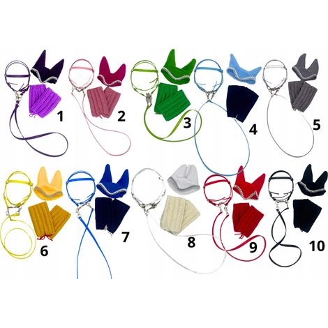Caballo de juguete - SET de doma clásica con accesorios (1/5)