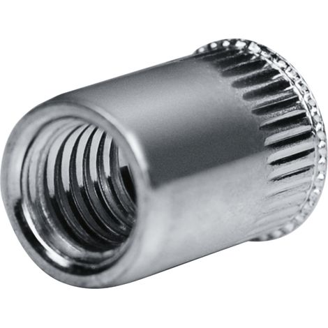 GOEBEL - 250 x Écrou à sertir M 10 - Acier inoxydable V2A / A2 [ AISI 302 ] - Tête affleurante Arbre rond - Extrémité de l'arbre  ouverte - GO-NUT - 7551012000 (1/5)