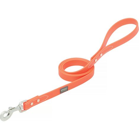 Terrain Brahma Webb Laisse pour Chien Orange 1,9 cm x 1,8 m