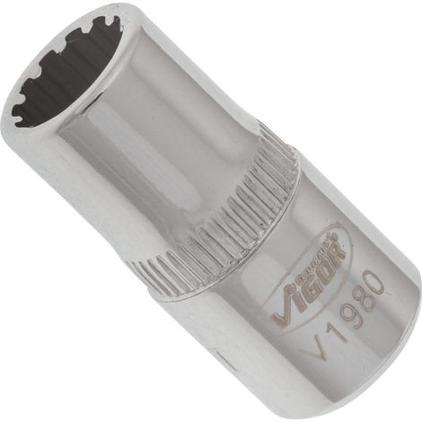 VIGOR Innenvierkant Antrieb 6,3 = 1/4 Zoll Multiprofil-Steckschlüssel-Einsatz Multiprofil V1980 Vierkant hohl 6,3 mm (1/4 Zoll) 7 Gesamtlänge: 25 mm (1/4)