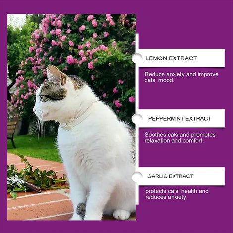 Spray apaisant pour chats d'extérieur, prévient les griffures et les mictions inappropriées, formule douce – OEM 20 ml (1/4)
