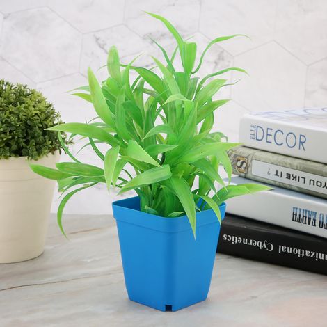 Lot de 20 petits pots carrés en maille pour plantes succulentes, pots de semis carrés dépolis (1/4)