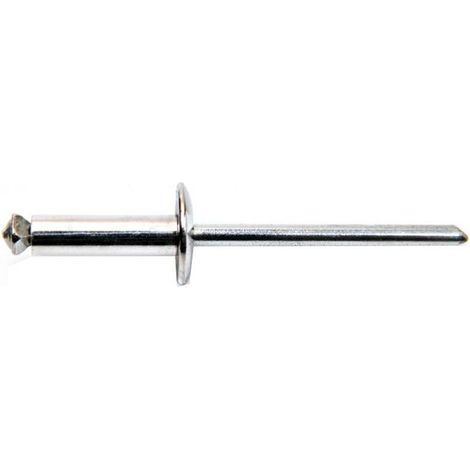250 Rivets Aveugles Eclatés Tête Large GOSTAR 4.8 x 12 mm - Aluminium/Acier - D-Work