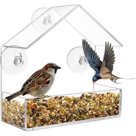 Mangeoire à oiseaux suspendue avec ventouse, mangeoire de fenêtre transparente pour oiseaux, fixation pratique sur vitre, idéale pour jardin et observation des oiseaux (1/5)