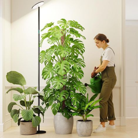 40W Standing Horticultural Lamp for Indoor Plants, Height 85mm, Adjustable Daily Cycle Timer 1-24H LCD Display, Dimmable, Lighting for Large Indoor Plants