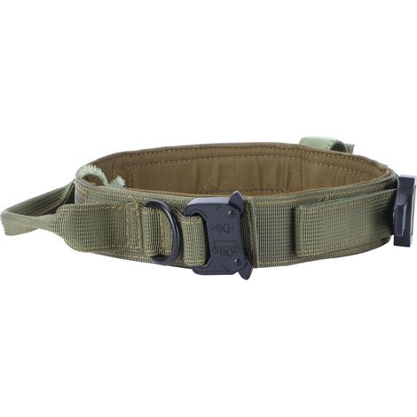 Collier chien nylon dressage chasse traction boucle acier accessoire animal vert