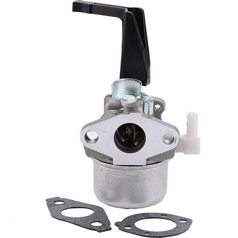 Carburettor 696065 compatible with Briggs & Stratton 696065 697422 110402-0206-E1 (1/4)