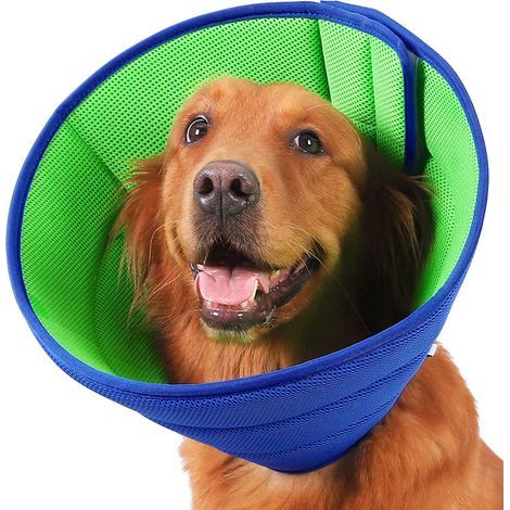 Collare protettivo, lunghezza 38-44 cm, poliestere, blu (1/5)