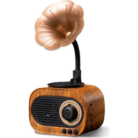 Enceintes en forme de phonographe, enceintes sans fil haut de gamme, radio à l'ancienne (1/5)