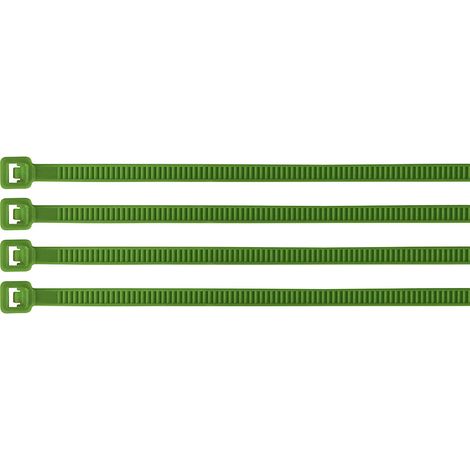 Bridas de plástico - 30 cm