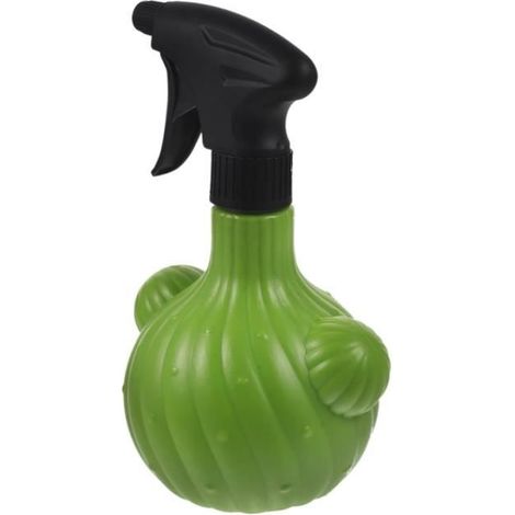 Gießkanne für Kakteen und Sukkulenten - Sprühflasche für Zimmerpflanzen.
