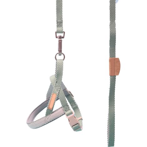 Strapazierfähige Hundeleine aus Polyester, Trainingsseil für mittelgroße und große Hunde, aquagrün, 2,0 cm (Brustumfang 30-45 cm) (1/5)