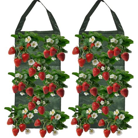 Lot de 2 sacs de plantation à suspendre en forme de fraise - 25 x 60 cm - Avec 8 trous - Respirant - Avec poignées - Pour balcon, jardin, terrasse, légumes, herbes et fleurs (1/5)