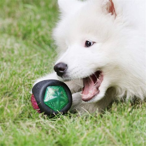 Gummiball für Hunde, bissfestes Beißspielzeug, Zahnpflege für Welpen beim Backenzahntraining (1/5)
