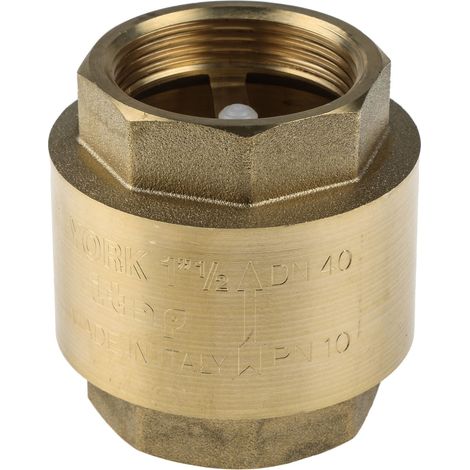 Clapet antiretour en Laiton RS PRO BSPP 1-1/2" ( Prix pour 1 ) (1/2)