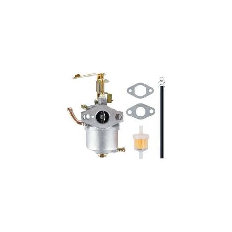 Vergaser TORO 119-1977 Erdbeben 99 cm³ 1-1,5 kW ARISAM 10078
