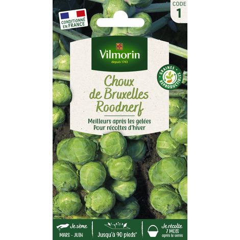 Vilmorin - Chou Bruxelles Sanda Vl 1 (1/2)