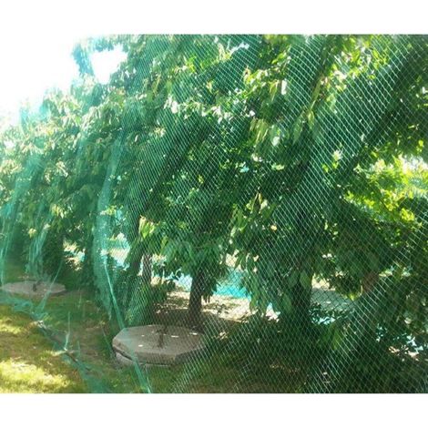 Filet Anti-oiseau lourd clôture de jardin et cultures clôture de protection maille Anti oiseau cerf chat chien poulet 4m 5m (1/4)