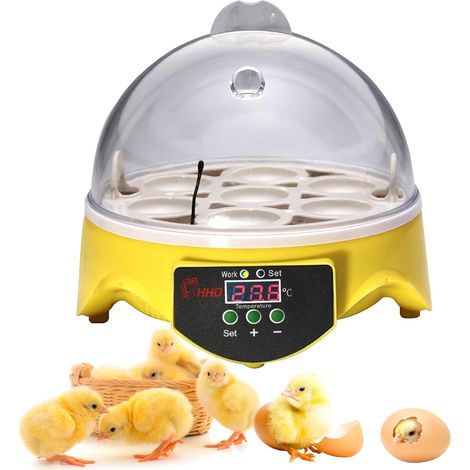Incubateur automatique, capacité 7 œufs, pour œufs de poule et de volaille, avec contrôle de la température.-AquaForge (1/4)