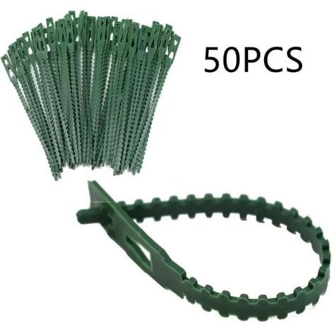 Attaches pour plantes - 17 cm de long - Clips solides pour petites et grandes pousses,treillis,arches de roses,tuteurs,50PCS TUTEUR (1/5)