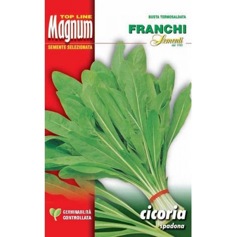SEMI CICORIA SPADONA BUSTA MAGNUM FRANCHI SEMENTI
