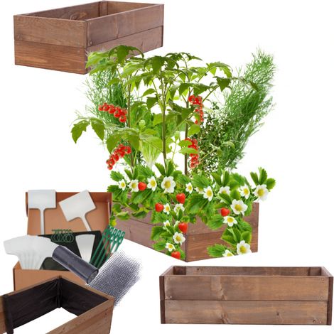 MODO24 Carré potager ZP06 surélevé en bois de pin massif pour jardin et terrasse, 18x83×30 cm, brun imprégné