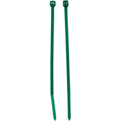 Bulk Hardware Limited Merriway BH01197 Fascette fermacavi con Serratura, 100 mm x 2,5 mm-Nylon Verde, Confezione da 100, Verde, Set di 100 Pezzi (1/3)