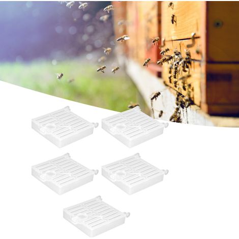 Cage de capture pour reines d’abeilles - Cage de transport et d’élevage en plastique (5 unités) - Accessoire pour apiculteurs (1/5)