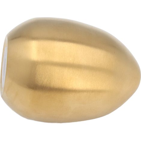 Eierförmiger Gewürzstreuer aus Edelstahl, ideal für Grillabende, Restaurants, Bankette und Partys, Gold (1/5)
