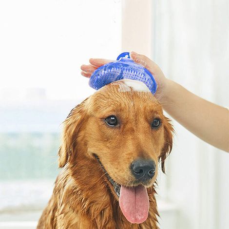 Confezione da 2 spazzole blu per la toelettatura dei cani - Spazzola da bagno (1/5)