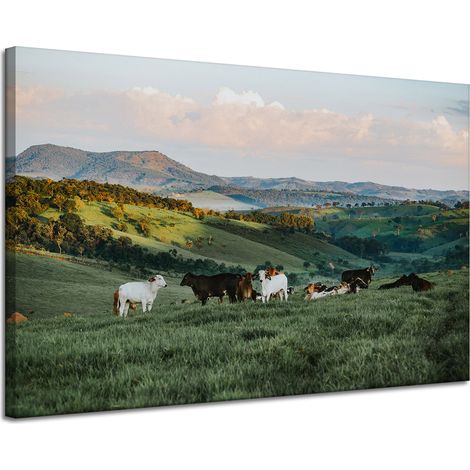 Lienzo impreso Naturaleza, pastos y vacas 120x80