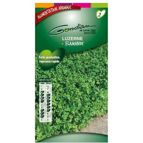 Luzerne Flamande alimentation animale 80gr - 30 m2
