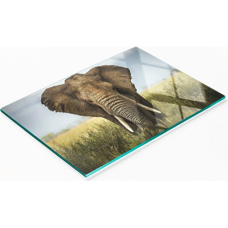 Tablero decorativo multifuncional de vidrio templado con dise帽o de elefantes en la sabana, 80x52 cm.