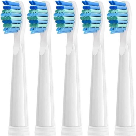 Brossettes de Rechange 5pc Adaptée Pour Fairywill Brosse à Dents électrique Poils Souple Tete de Remplacement (Tête de brosse blanch (1/4)